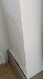 IMG_20251019_102213_1.HEIC_compressed.JPEG