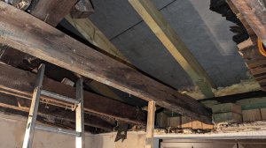 WhatsApp Image 2025-11-06 at 16.51.21.jpeg