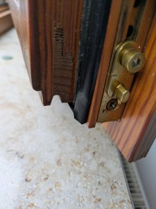 WoZi Gangflügel unten.jpg