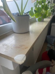 WhatsApp Image 2025-11-19 at 10.05.14 (3).jpeg