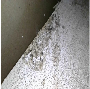 Bildschirmfoto 2025-11-21 um 10.33.49.png