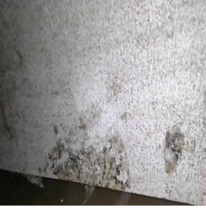 Bildschirmfoto 2025-11-21 um 10.34.36.png