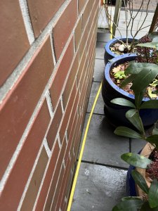 Photo 20.11.25, 09 16 47.jpg