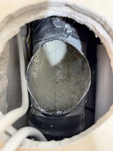 Groß (IMG_4230).jpeg