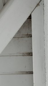 linke Seite Unterdach.JPG