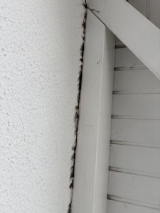 rechte Seite Unterdach.JPEG