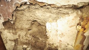 WhatsApp Image 2025-12-05 at 08.51.31.jpeg