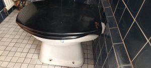 WhatsApp Image 2025-12-11 at 14.21.04(1).jpeg