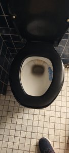 WhatsApp Image 2025-12-11 at 14.21.04.jpeg