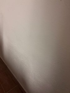 WhatsApp Image 2025-12-14 at 16.19.10.jpeg