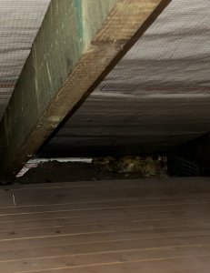 Bildschirmfoto 2025-12-23 um 09.05.44.jpg