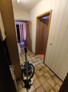 Diele Richtung Flur hinten.jpg