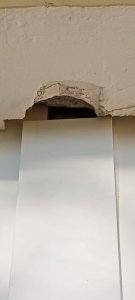 näher Fotografiert zwischen Balkontür und Fenster.jpeg