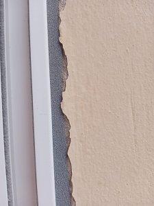 WhatsApp Image 2026-01-04 at 13.58.36 (3).jpeg