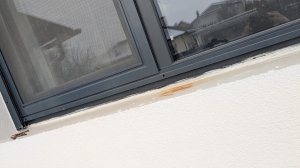 WhatsApp Image 2026-01-17 at 18.08.08(1).jpeg