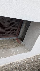 WhatsApp Image 2026-01-17 at 18.08.07(1).jpeg