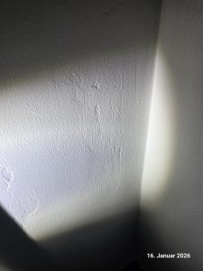 WhatsApp Bild 2026-01-20 um 10.05.00_8fa9f165.jpg