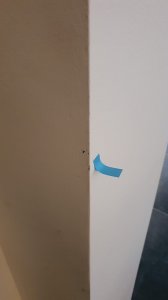 WhatsApp Bild 2026-01-20 um 10.05.02_3daa3506.jpg