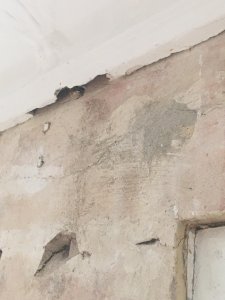 WhatsApp Image 2026-01-11 at 22.17.43(1).jpeg