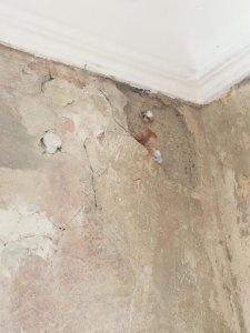 WhatsApp Image 2026-01-11 at 22.17.43.jpeg