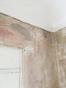 WhatsApp Image 2026-01-11 at 22.17.42.jpeg