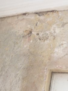 WhatsApp Image 2026-01-11 at 22.17.41(2).jpeg