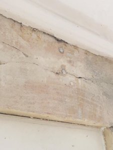 WhatsApp Image 2026-01-11 at 22.17.41(1).jpeg