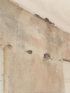 WhatsApp Image 2026-01-11 at 22.17.41.jpeg