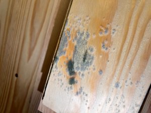 WhatsApp Image 2026-01-26 at 20.28.06 (1).jpeg