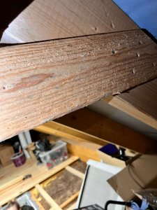 WhatsApp Image 2026-01-26 at 20.28.06.jpeg