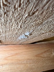 WhatsApp Image 2026-01-26 at 20.28.07 (1).jpeg