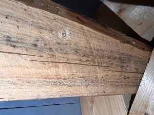 WhatsApp Image 2026-01-26 at 20.28.07 (4).jpeg