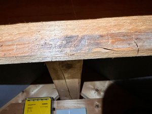 WhatsApp Image 2026-01-26 at 20.28.07 (5).jpeg