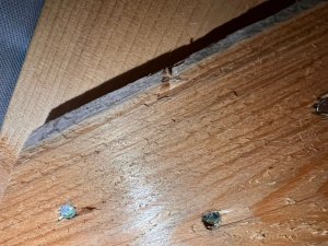 WhatsApp Image 2026-01-26 at 20.28.07.jpeg