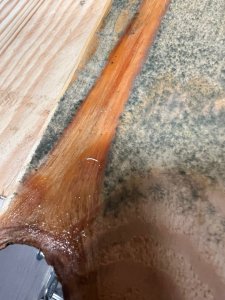 WhatsApp Image 2026-01-26 at 20.28.09 (2).jpeg