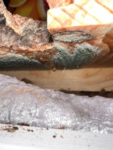 WhatsApp Image 2026-01-26 at 20.28.09 (3).jpeg