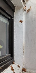 1-2_Fenster alt_Abdichtung_3.jpg