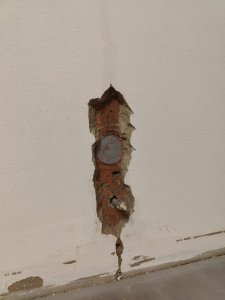 WhatsApp Image 2026-02-22 at 21.19.45.jpeg