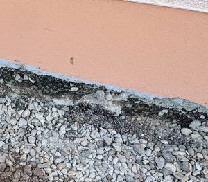 Bildschirmfoto 2026-03-12 um 13.55.47.png