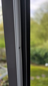 WhatsApp Image 2026-04-10 at 09.06.05 (2).jpeg