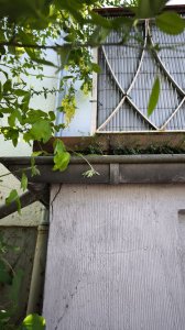 IMG_20260430_113947.jpg