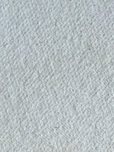 IMG_2399.jpeg