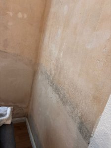bdee7c75-5e1b-4680-b03a-804f6e03572a.jpeg