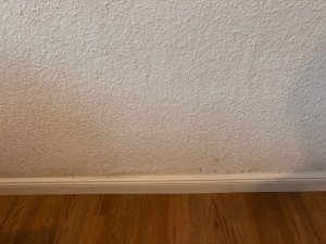 33977e00-fcc8-4830-b57b-5372d7b38d62.jpeg