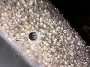 IMG_0870.jpeg