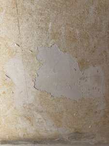 image2.jpeg