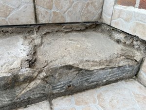 IMG_8200.JPG