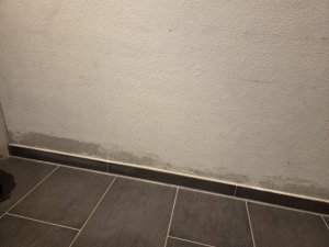 img1.jpg