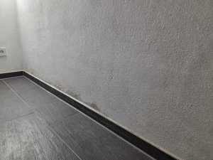 img2.jpg