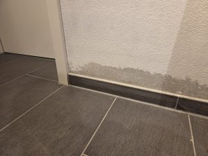 img3.jpg